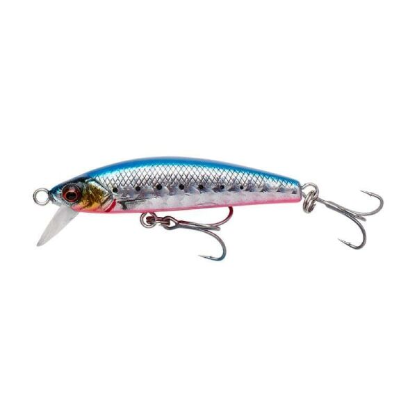 Pink Belly Sardine