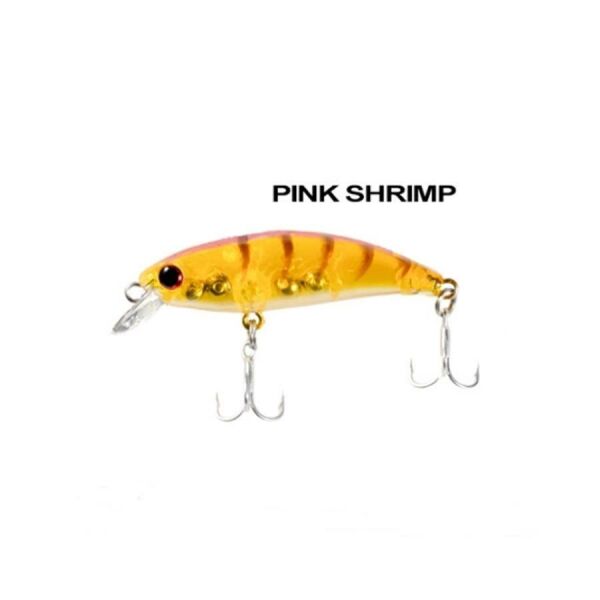 Pink Shrimp