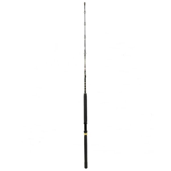 Penn Squall II Trolling Casting Düz Sap Olta Kamışı Standart - 168CM - 60-130LBS